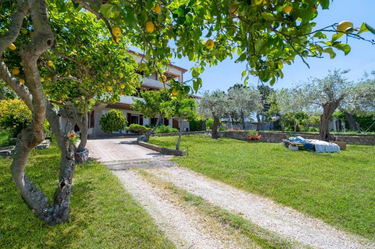 Feriehus Surrounded By Centuries-old Olive Trees Alghero